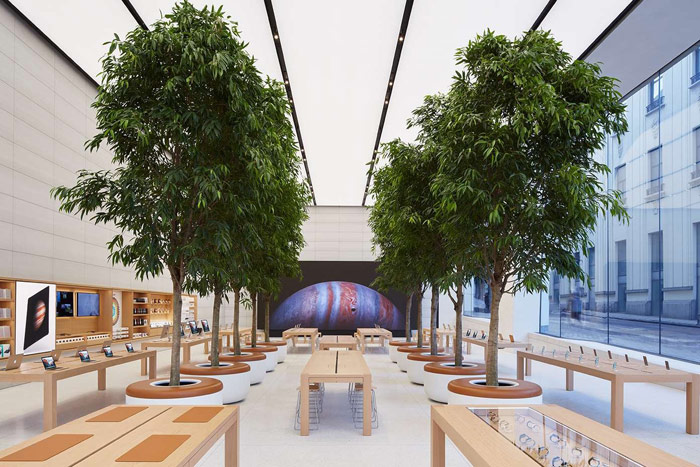 Apple has patented the idea of trees used for interior decoration Apple Store Apple has patented the idea of trees used for interior decoration Apple Store
