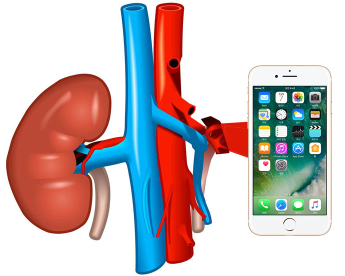 The inhabitant of Moldova has placed the ad on the exchange of kidneys on the iPhone 7 The inhabitant of Moldova has placed the ad on the exchange of kidneys on the iPhone 7