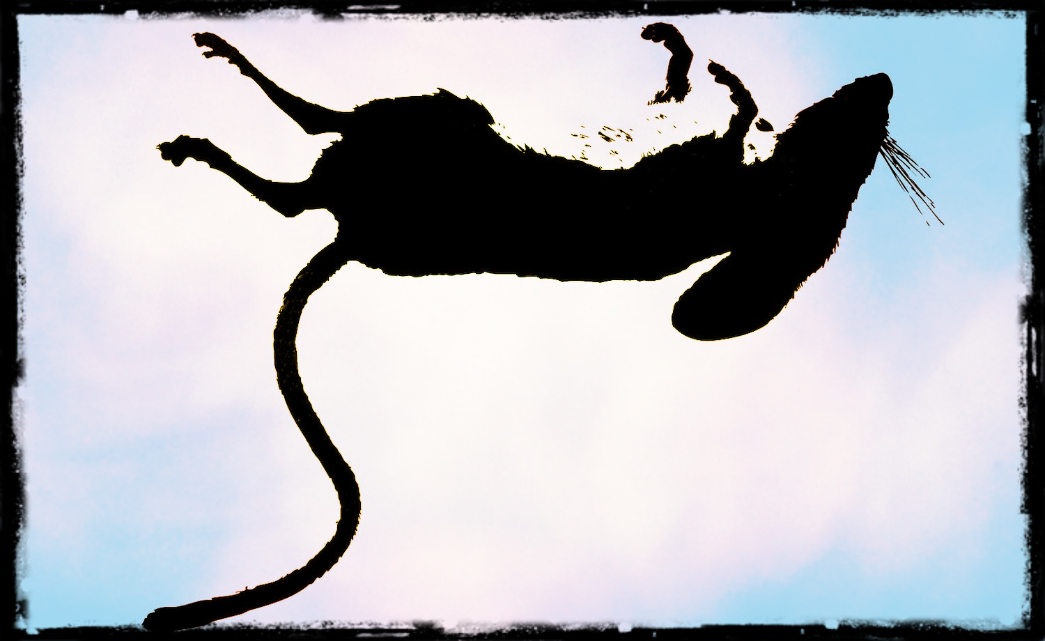 The mouse was dead. Now how to use a Mac? The mouse was dead. Now how to use a Mac?