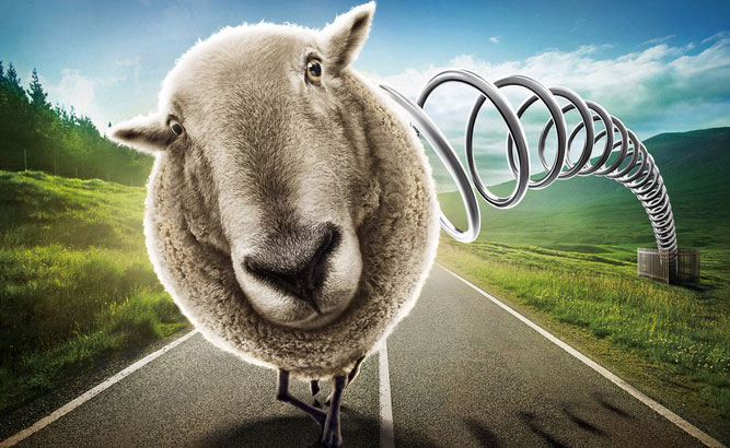 In the Russian scientific research Institute of sheep breeding and goat breeding has created a "killer" Windows and macOS In the Russian scientific research Institute of sheep breeding and goat breeding has created a "killer" Windows and macOS