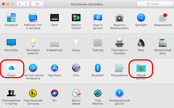 How to enable universal clipboard in iOS and macOS