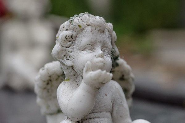 Application Day kisses Application Day kisses