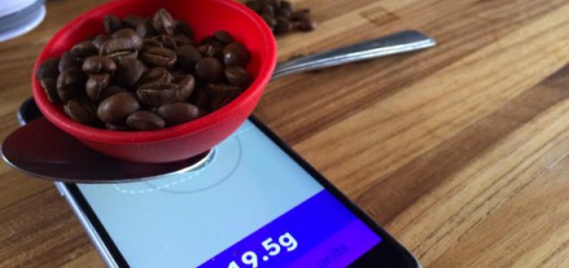 61fee101a1ad9413cd219f6d827d3292