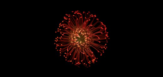 0331b82c1b68f6cc904d2b5f67cfdaf0