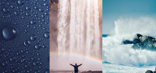 c8d993aeccccb6c4f239d6bb64fc1431