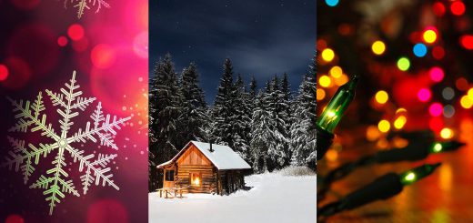 aed6a13b88a0579b65d6931ad9cbdfc6