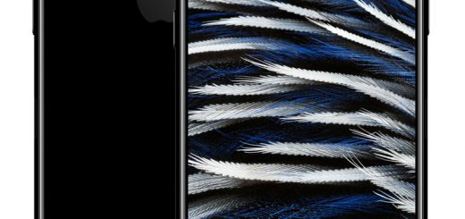 cae5364a714286fde5fb999c54fd5d58